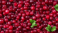 Cranberry Extract