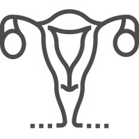 Vaginal Health Support